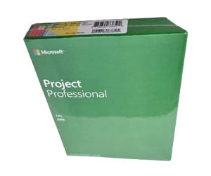 Microsoft Project Professional 2019  Medialess BOX 