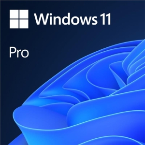 Microsoft Windows 11 Professional 32/64bit PL BOX (HAV-00209) USB Wersja fizyczna produktu! Dostępny od ręki!